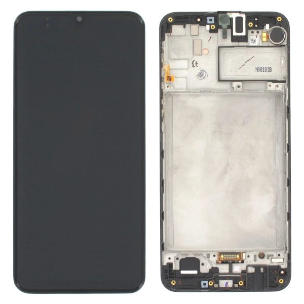 Ecran Samsung M30s (M307) Original GH82-21265A.